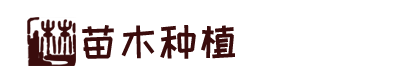 亚投app(官方)网站/网页版登录入口/手机版APP下载